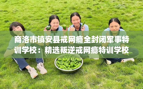 商洛市镇安县戒网瘾全封闭军事特训学校：精选叛逆戒网瘾特训学校