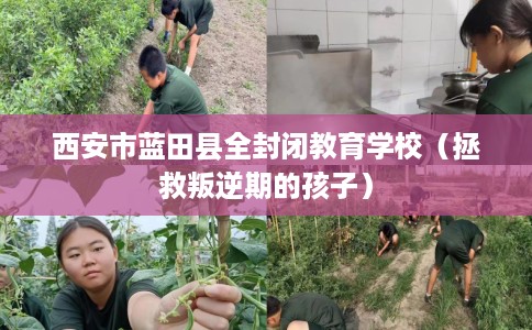 西安市蓝田县全封闭教育学校(拯救叛逆期的孩子) 西安市蓝田县全封闭教育学校(拯救叛逆期的孩子)