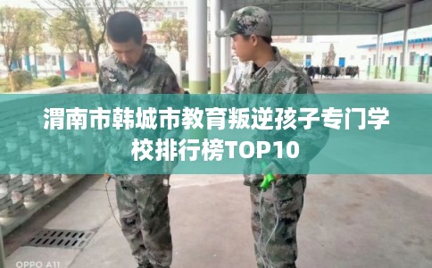 渭南市韩城市教育叛逆孩子专门学校排行榜TOP10 渭南市韩城市教育叛逆孩子专门学校排行榜TOP10