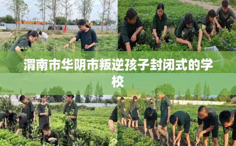 渭南市华阴市叛逆孩子封闭式的学校 渭南市华阴市叛逆孩子封闭式的学校