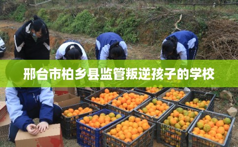 邢台市柏乡县监管叛逆孩子的学校