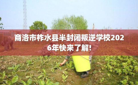 商洛市柞水县半封闭叛逆学校2026年快来了解!