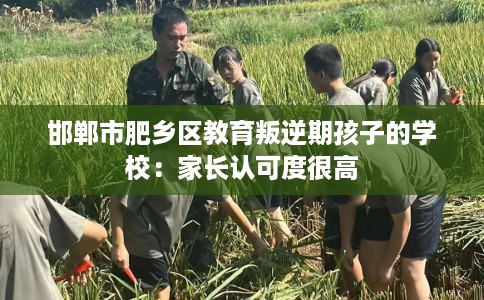 邯郸市肥乡区教育叛逆期孩子的学校:家长认可度很高 邯郸市肥乡区教育叛逆期孩子的学校:家长认可度很高