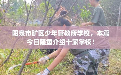 阳泉市矿区少年管教所学校，本篇今日隆重介绍十家学校！