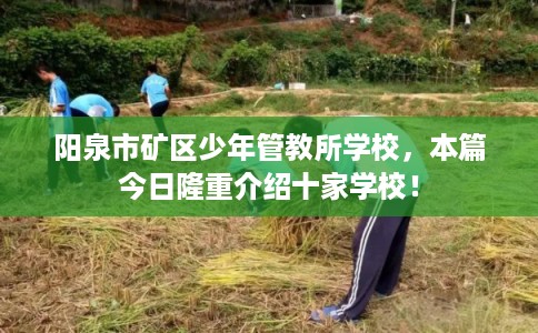 阳泉市矿区少年管教所学校，本篇今日隆重介绍十家学校！
