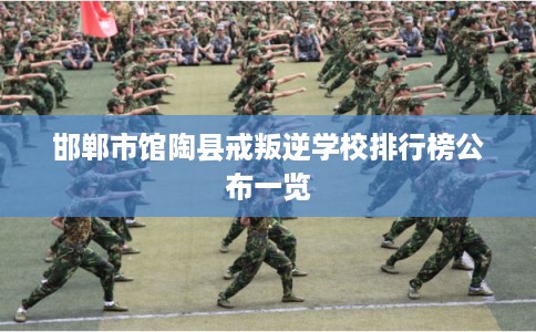 邯郸市馆陶县戒叛逆学校排行榜公布一览 邯郸市馆陶县戒叛逆学校排行榜公布一览