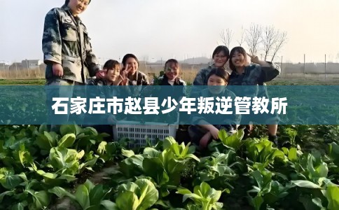 石家庄市赵县少年叛逆管教所