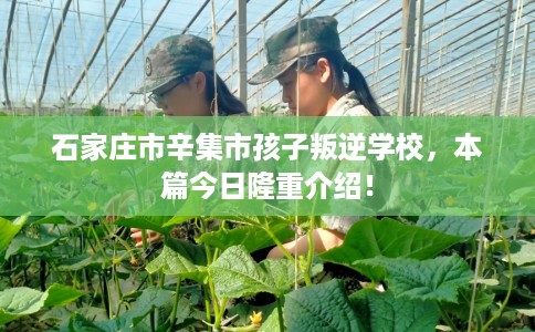 石家庄市辛集市孩子叛逆学校，本篇今日隆重介绍！