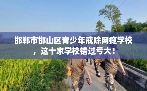 邯郸市邯山区青少年戒除网瘾学校，这十家学校错过亏大！