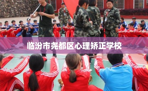 临汾市尧都区心理矫正学校