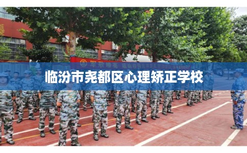 临汾市尧都区心理矫正学校