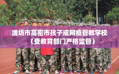 潍坊市高密市孩子戒网瘾管教学校(受教育部门严格监管) 潍坊市高密市孩子戒网瘾管教学校(受教育部门严格监管)