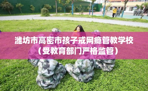 潍坊市高密市孩子戒网瘾管教学校(受教育部门严格监管) 潍坊市高密市孩子戒网瘾管教学校(受教育部门严格监管)