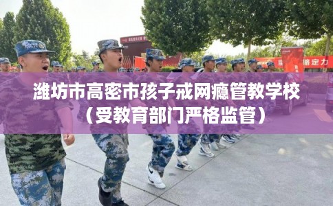 潍坊市高密市孩子戒网瘾管教学校(受教育部门严格监管) 潍坊市高密市孩子戒网瘾管教学校(受教育部门严格监管)