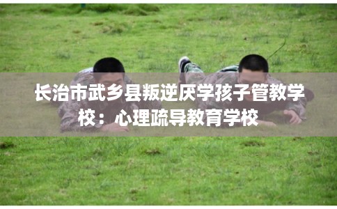 长治市武乡县叛逆厌学孩子管教学校:心理疏导教育学校 长治市武乡县叛逆厌学孩子管教学校:心理疏导教育学校