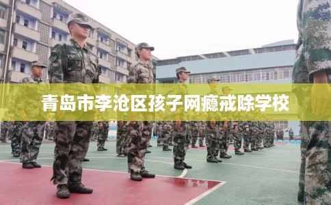 青岛市李沧区孩子网瘾戒除学校 青岛市李沧区孩子网瘾戒除学校