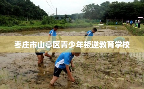 枣庄市山亭区青少年叛逆教育学校 枣庄市山亭区青少年叛逆教育学校