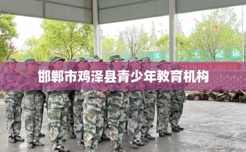 邯郸市鸡泽县青少年教育机构