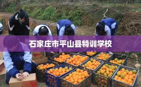 石家庄市平山县特训学校