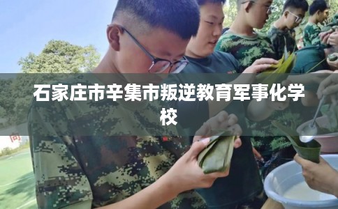 石家庄市辛集市叛逆教育军事化学校 石家庄市辛集市叛逆教育军事化学校