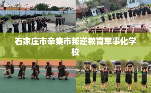 石家庄市辛集市叛逆教育军事化学校 石家庄市辛集市叛逆教育军事化学校