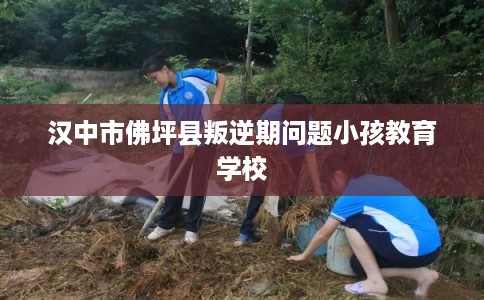 汉中市佛坪县叛逆期问题小孩教育学校