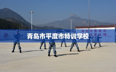 青岛市平度市特训学校 青岛市平度市特训学校