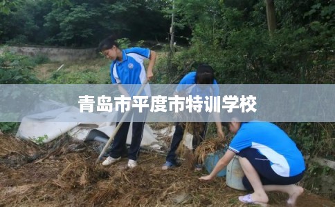 青岛市平度市特训学校 青岛市平度市特训学校