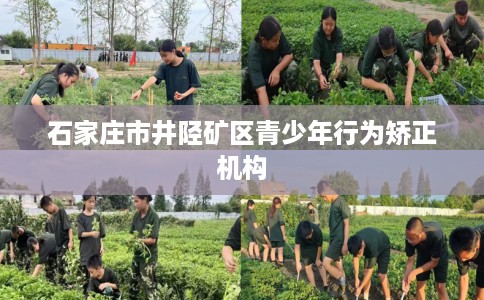 石家庄市井陉矿区青少年行为矫正机构 石家庄市井陉矿区青少年行为矫正机构