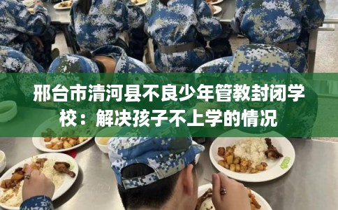 邢台市清河县不良少年管教封闭学校:解决孩子不上学的情况 邢台市清河县不良少年管教封闭学校:解决孩子不上学的情况