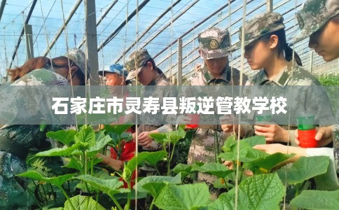 石家庄市灵寿县叛逆管教学校