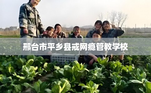 邢台市平乡县戒网瘾管教学校 邢台市平乡县戒网瘾管教学校