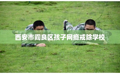 西安市阎良区孩子网瘾戒除学校