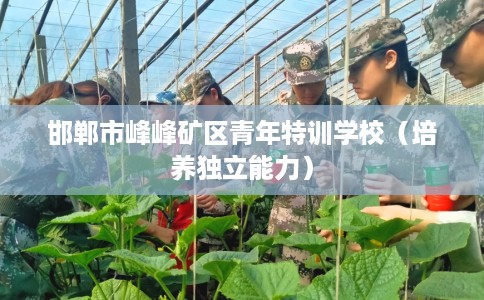邯郸市峰峰矿区青年特训学校（培养独立能力）