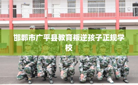邯郸市广平县教育叛逆孩子正规学校