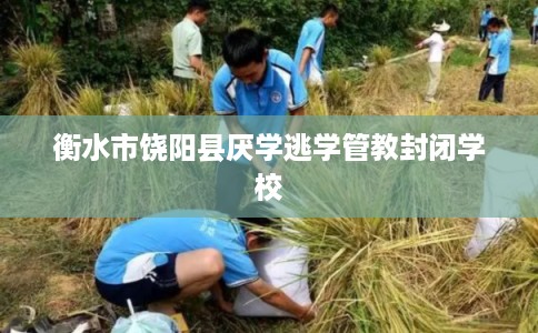 衡水市饶阳县厌学逃学管教封闭学校