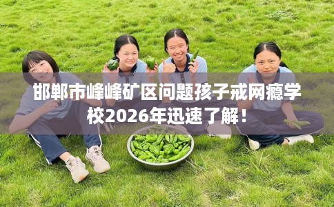 邯郸市峰峰矿区问题孩子戒网瘾学校2026年迅速了解！