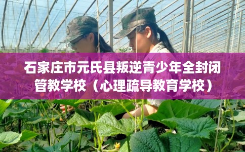 石家庄市元氏县叛逆青少年全封闭管教学校（心理疏导教育学校）
