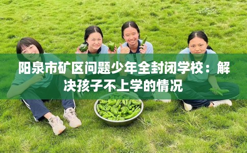 阳泉市矿区问题少年全封闭学校：解决孩子不上学的情况