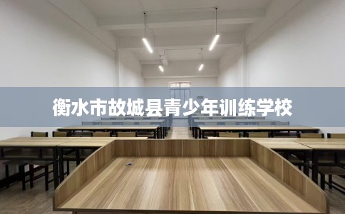 衡水市故城县青少年训练学校 衡水市故城县青少年训练学校