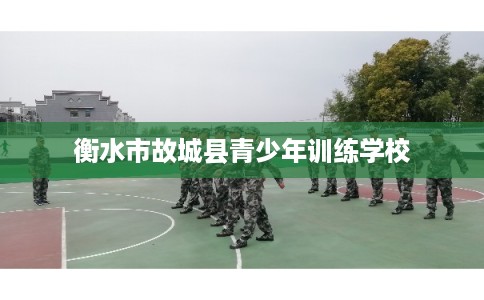 衡水市故城县青少年训练学校 衡水市故城县青少年训练学校