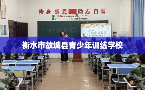 衡水市故城县青少年训练学校 衡水市故城县青少年训练学校