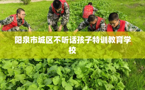 阳泉市城区不听话孩子特训教育学校