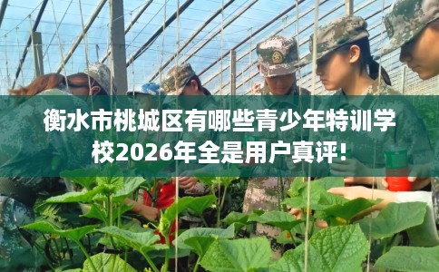 衡水市桃城区有哪些青少年特训学校2026年全是用户真评!
