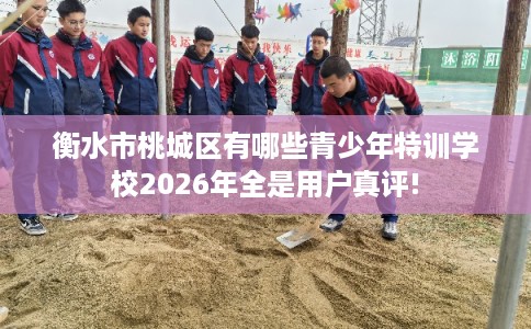 衡水市桃城区有哪些青少年特训学校2026年全是用户真评!