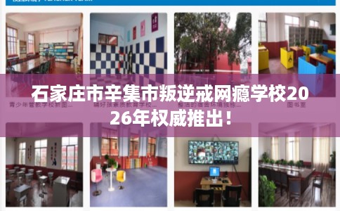 石家庄市辛集市叛逆戒网瘾学校2026年权威推出！