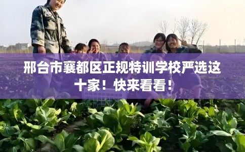 邢台市襄都区正规特训学校严选这十家！快来看看！