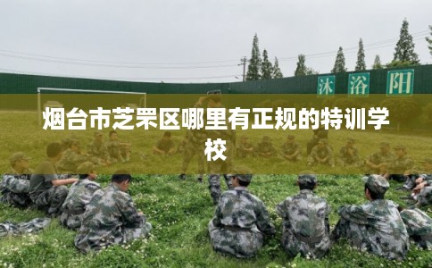 烟台市芝罘区哪里有正规的特训学校