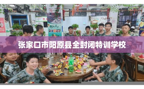 张家口市阳原县全封闭特训学校