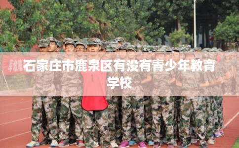 石家庄市鹿泉区有没有青少年教育学校 石家庄市鹿泉区有没有青少年教育学校
